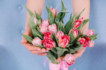 A bouquet of red tulips which the girl hugs her hands on a gentle blue background