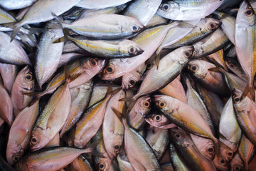 close up of fresh fish in asian market