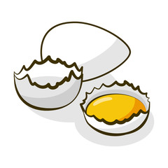 Eggs. Yolk in broken eggshell and protein hand drawing illustration. A natural product is a sketch.