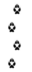 Wolf tracks. Typical footprints of wolves - isolated black icon vector illustration on white background.
