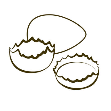 Eggs. Yolk in broken eggshell and protein hand drawing illustration. A natural product is a sketch.