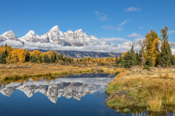 Scenic Teton Autumn Reflection