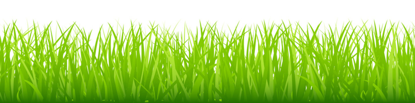 Green Straight Meadow Banner Big