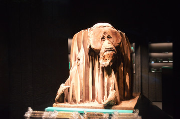 Chocolate monkey in the shop window