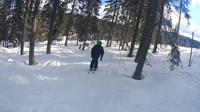 Child boy skiing through the forest. Adrenaline winter sport. Skiing between trees