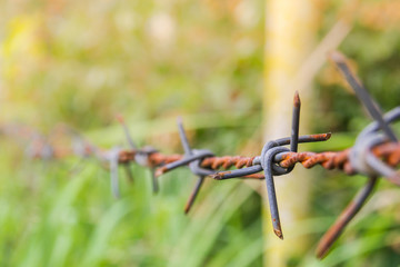 Detail of a rusty barbed wire fence on blurred nature background