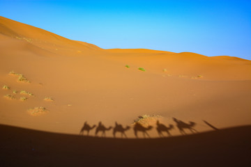 Fototapeta na wymiar Erg Chebi dunes - Sahara. Merzouga. Morocco