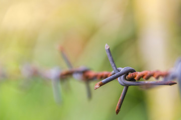 Obraz premium Detail of a rusty barbed wire fence on blurred nature background
