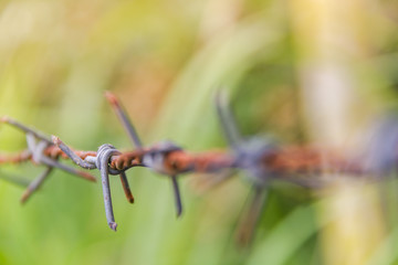 Detail of a rusty barbed wire fence on blurred nature background