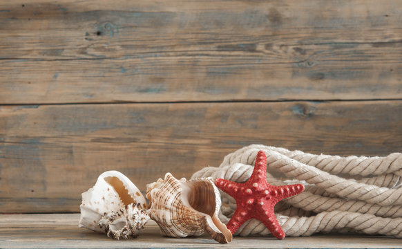 Sea objects - shells, sea stars on wooden planks