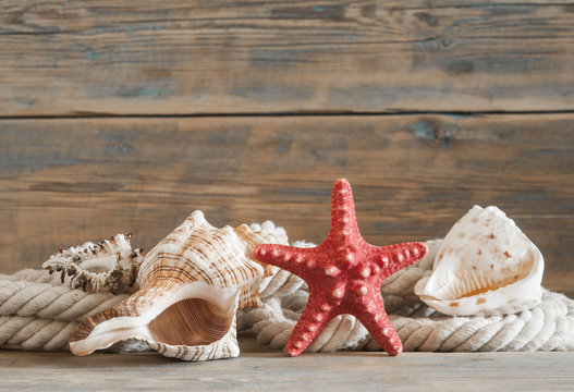 Sea objects - shells, sea stars on wooden planks