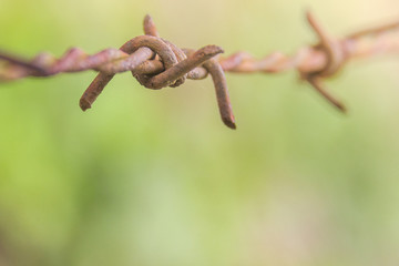 Detail of a rusty barbed wire fence on blurred nature background
