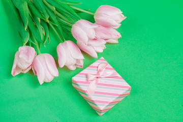 Tulips and gift box