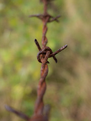 Old rusty barbed wire