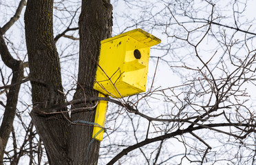 Wooden yellow birdhouse on a high tree in winter park