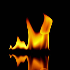 very hot fire abstract background. fire on the black background.