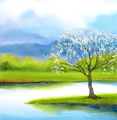 Watercolor landscape. Flowering tree by lake