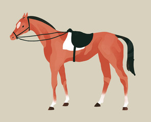 Racehorse