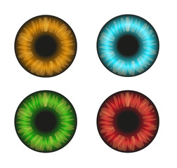 Eyes of different colors on a white background