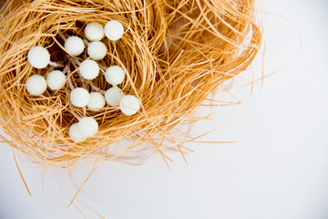 Obraz premium Handmade thing with berries