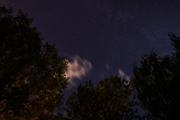 Fototapeta na wymiar Silhouette of the forest in the night sky