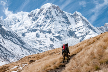 Fototapeta na wymiar hiking in the himalayan mountains