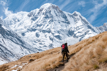 Obraz premium hiking in the himalayan mountains