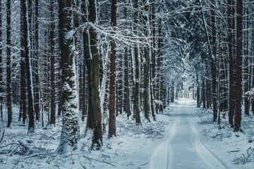 Winter landscape with a road leading into the dark snowy forest