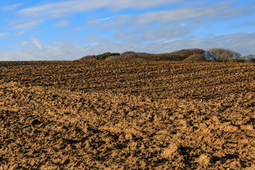 A Ploughed Field