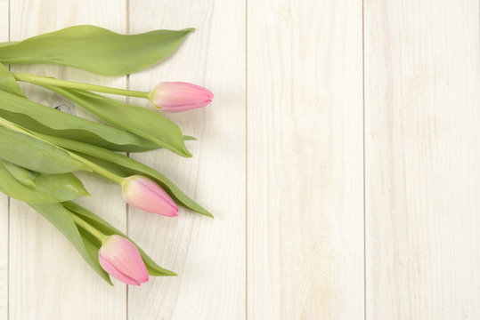 Tulipanes de color rosa sobre fondo de madera blanca