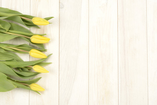 Tulipanes de color amarillo sobre fondo de madera blanca