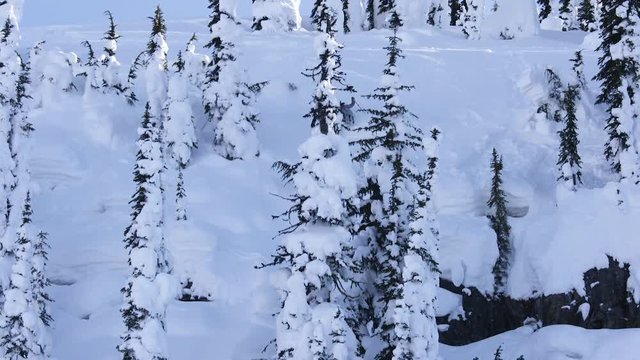 Tilt down, skier on steep British Columbia slope