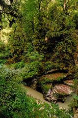 Obraz premium Close-up streams of water between mountain stones. Beautiful mountain river stream with fast flowing water and rocks. Flowing water in beautiful landscape. Picturesque rapids on the river.