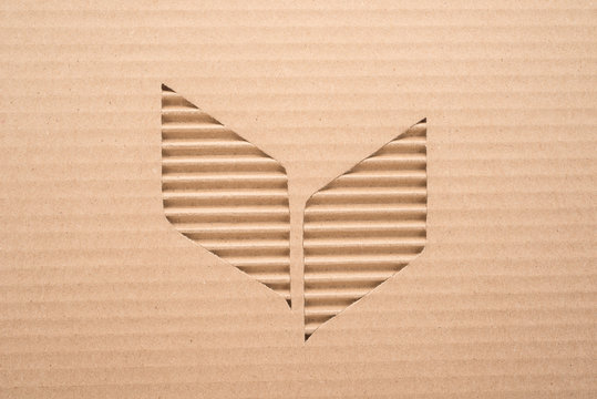 Leaves cut out on a corrugated cardboard 
