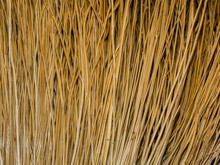 Background of dried grass stems. Texture of dry straw rods