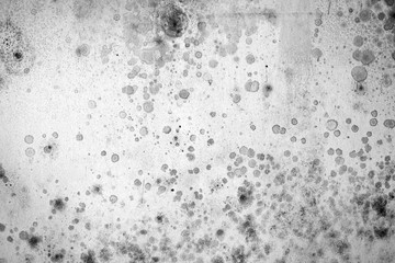 Dirty, stained and worn wall with mold spots in black and white
