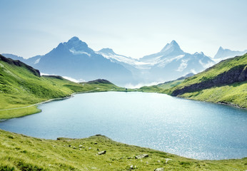 Naklejka na ściany i meble Schreckhorn and Wetterhorn from Bachalpsee lake,Bernese Oberland,Switzerland
