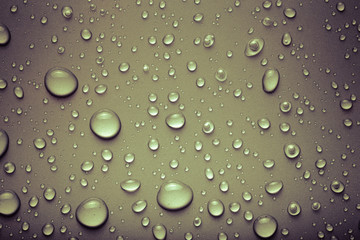 Drops of water on a color background. Gray. Toned