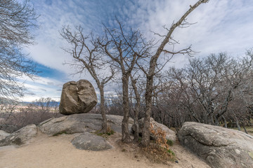 Celtic Vetton sacred place (Nemeton), Large boulder of granite rock surounded by trees at Silla de...