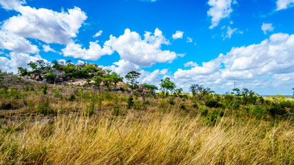 Fototapeta na wymiar Rock formation in the savanna of central Kruger National Park in South Africa