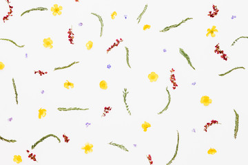 Pattern from green leaves, yellow and purple flowers on white background - Powered by Adobe