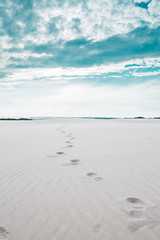 Der weg in die weiße Wüste