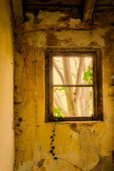 Fototapeta na wymiar the old window
