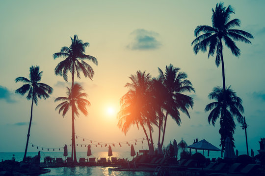 Silhouettes of palm trees on a tropical sea beach during amazing sunset.