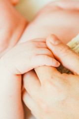 Newborn baby hand holding parent fingers.