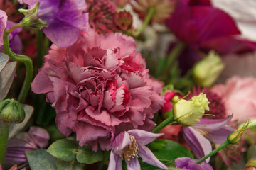 Red flower carnation in bouquet closeup. Flowers background