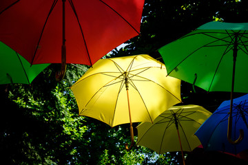 Obraz na płótnie Canvas Colored umbrella #1