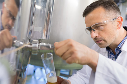 focused brewer smelling beaker with beer in the factory