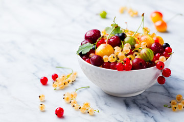 Assortment of fresh berries in white bowl. Marble background. Copy space