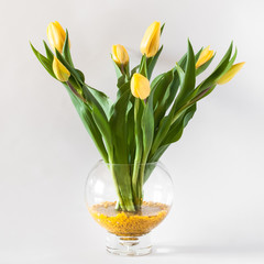 Fresh bouquet of yellow tulips in a glass vase on a white background